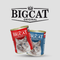 BigCat