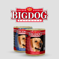 BigDog
